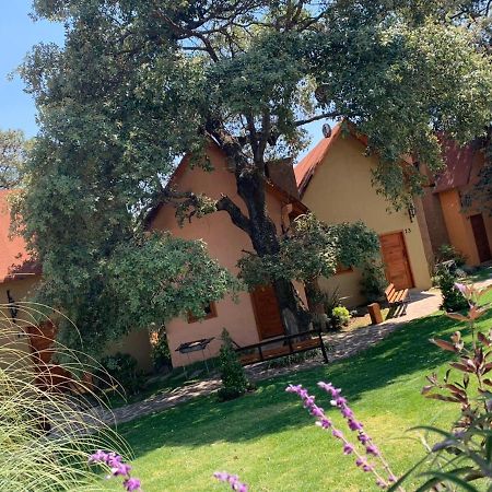 Cabanas San Mateo En Mazamitla Ngoại thất bức ảnh